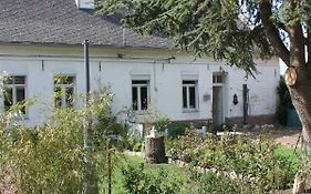 Cosy Cottage